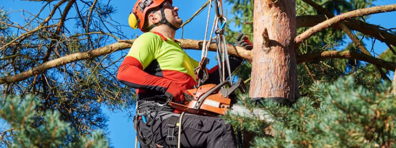 low-angle-view-man-holding-chainsaw-tree-trunk-against-sky_1048944-9613539