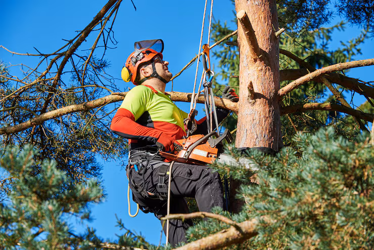 low-angle-view-man-holding-chainsaw-tree-trunk-against-sky_1048944-9613539